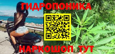 сатива Обь