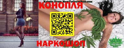 a pvp Новодвинск