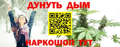сатива Обь