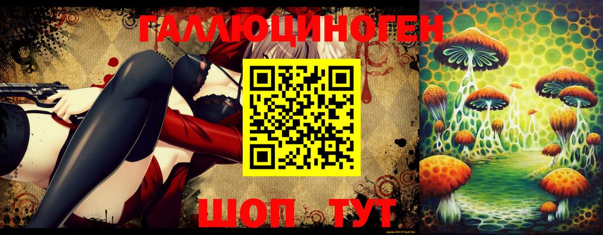 Ставрополь  Псилоцибиновые грибы прущие грибы  Псилоцибиновые грибы прущие грибы  Вход с VPN 
