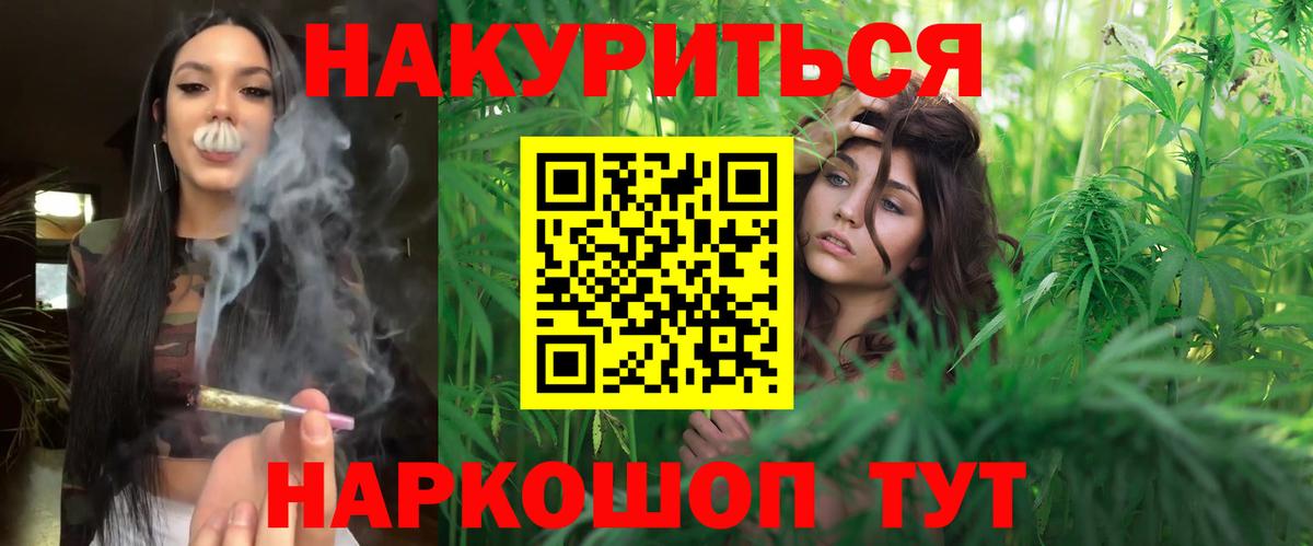 Каннабис сатива  Вход с VPN  МАРИХУАНА ГИДРОПОН  Ставрополь 